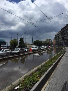 Viale delle LibertÃ , Daniela Micali